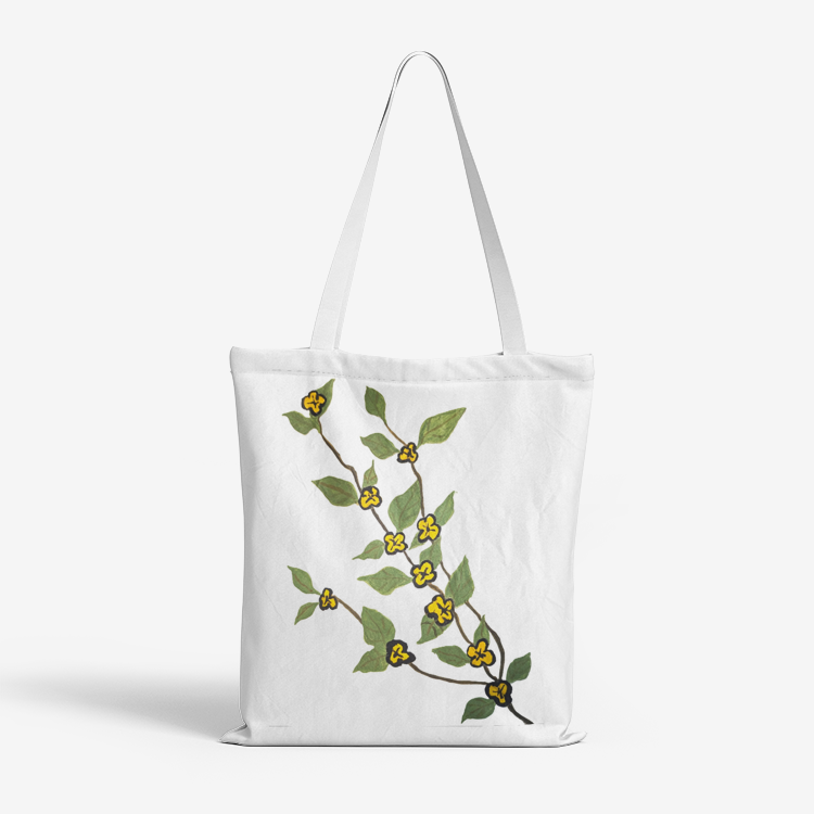 Heavy Duty and Strong Natural Canvas Tote Bags