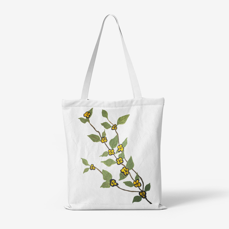 Heavy Duty and Strong Natural Canvas Tote Bags